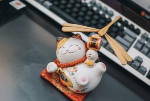 giấy phép MB66